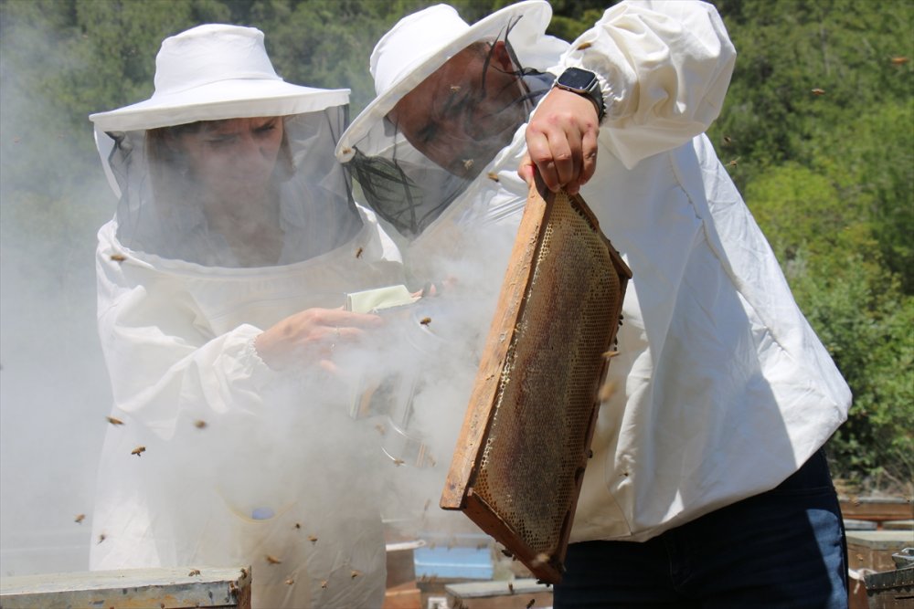 Mersin'de Arıcıların Kaliteli Bal Üretimi İçin Toroslara Göçü Başladı
