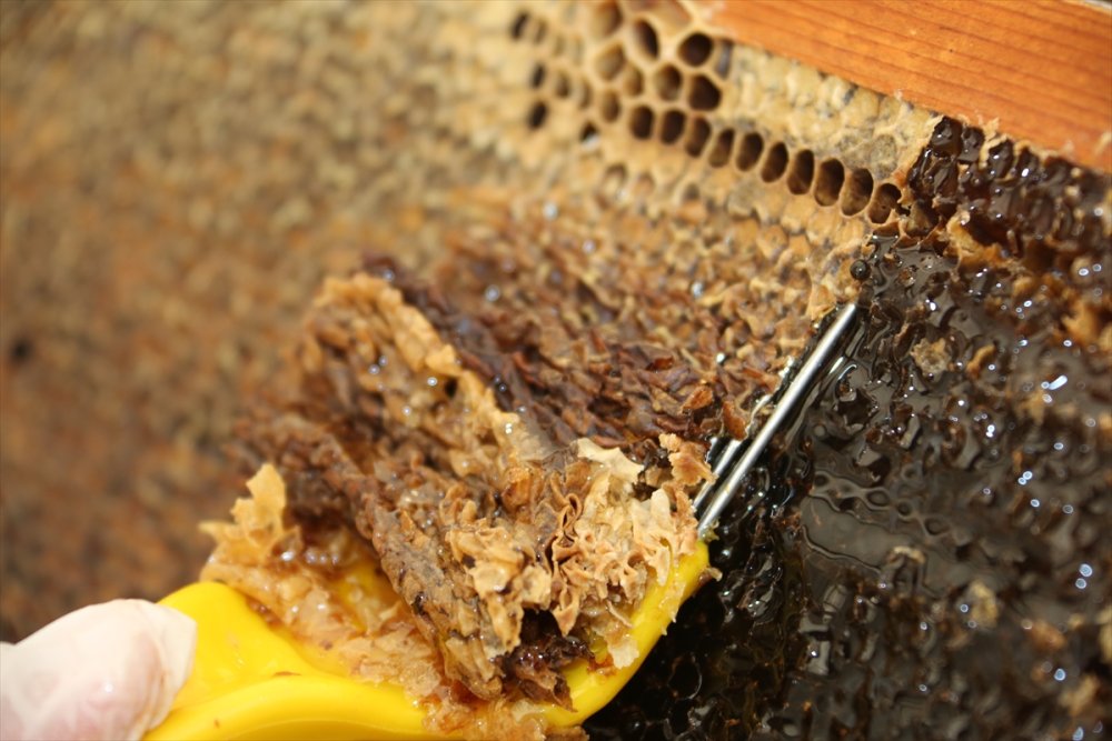 Mersin'de Arıcıların Kaliteli Bal Üretimi İçin Toroslara Göçü Başladı