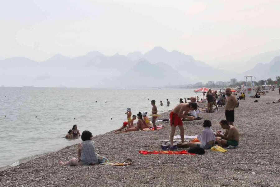 Dünyaca Ünlü Sahil, Traktörlerle Tarla Gibi Sürülüp Sezona Hazırlanıyor