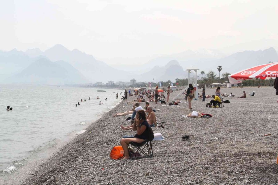 Dünyaca Ünlü Sahil, Traktörlerle Tarla Gibi Sürülüp Sezona Hazırlanıyor