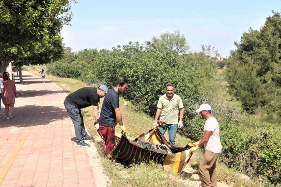Antalya’nın Ormanlarına Rus Ve Ukraynalı Kadınların Eli Değdi