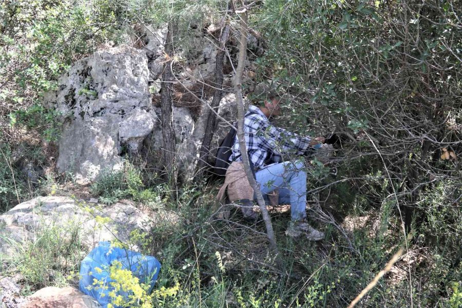 Antalya’nın Ormanlarına Rus Ve Ukraynalı Kadınların Eli Değdi