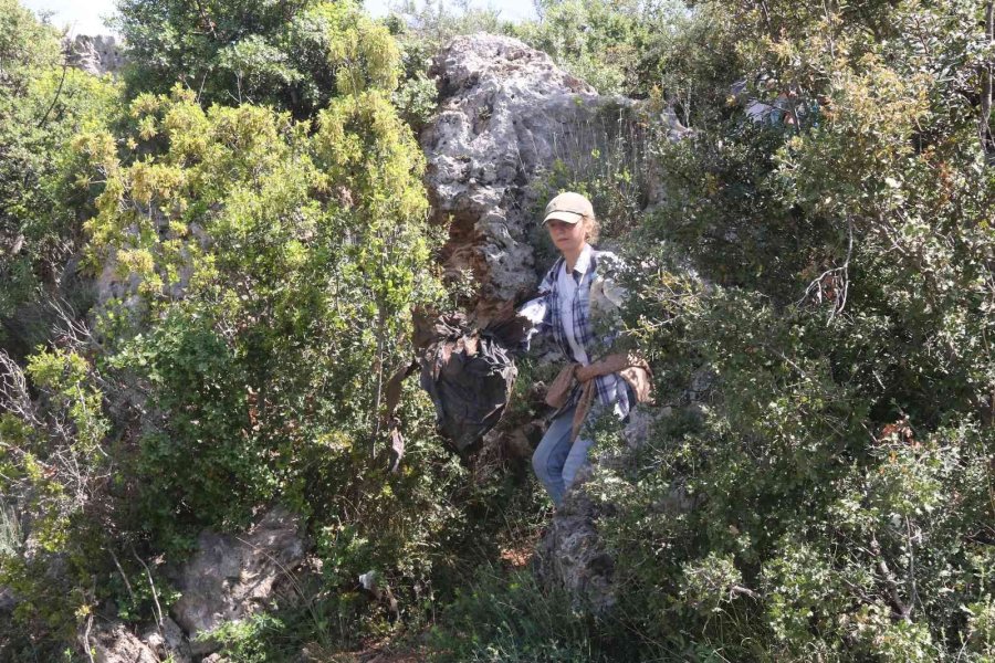 Antalya’nın Ormanlarına Rus Ve Ukraynalı Kadınların Eli Değdi