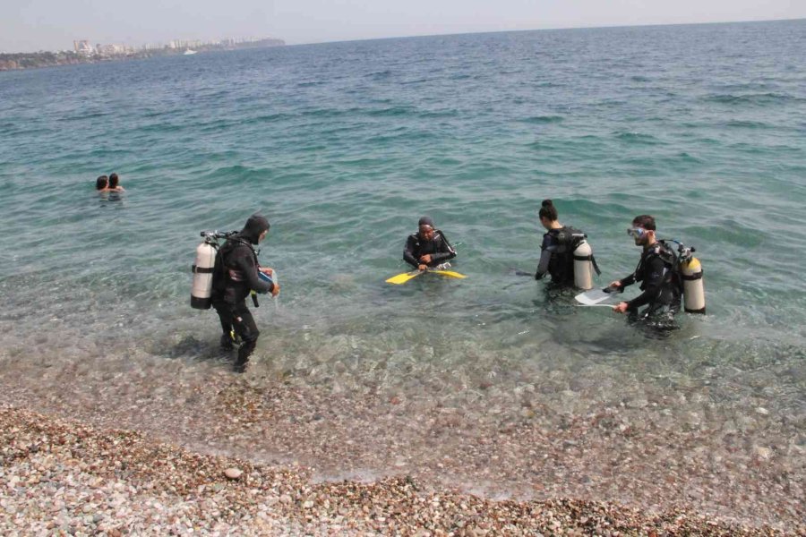 Dünyaca Ünlü Sahilde Deniz Kestaneleri Koloni Olarak Görüntülendi