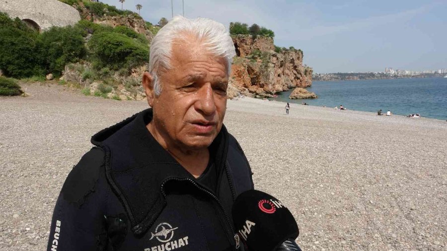 Dünyaca Ünlü Sahilde Deniz Kestaneleri Koloni Olarak Görüntülendi