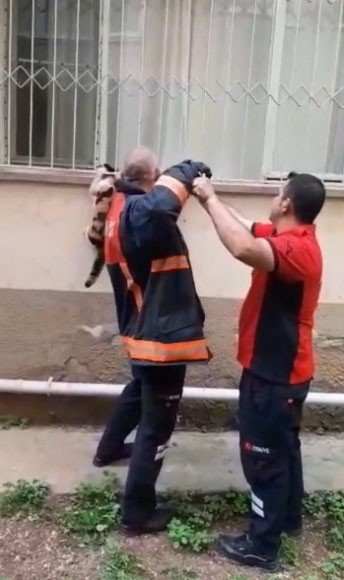 Pencere Korkuluğuna Sıkışan Kediyi İtfaiye Kurtardı