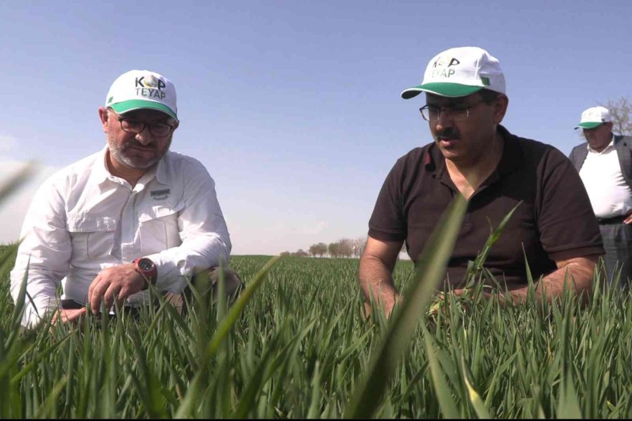 Kop Bölgesine 2022 Yılında 120 Milyon Tl’lik Destek