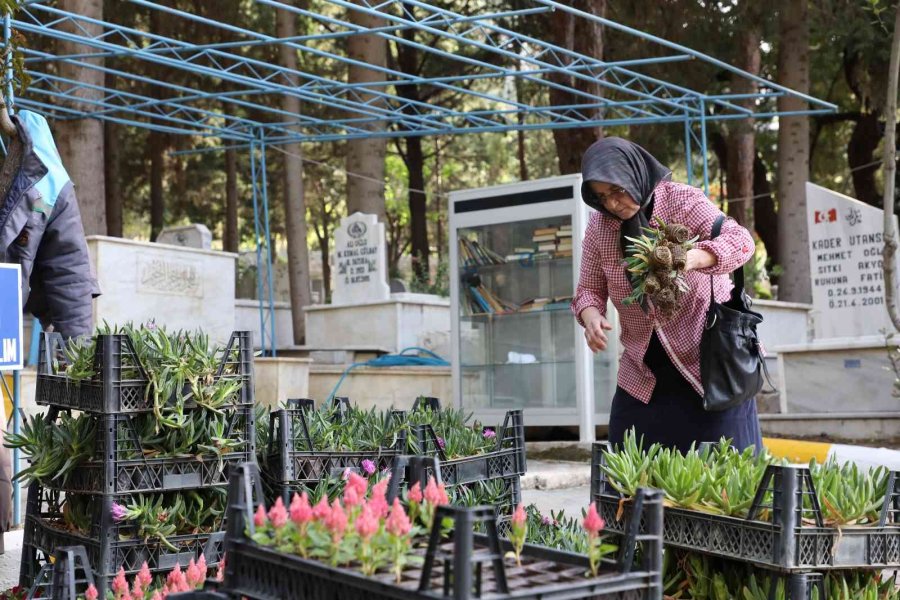 Alanya Belediyesi Bayramda 62 Bin Çiçek Dağıttı