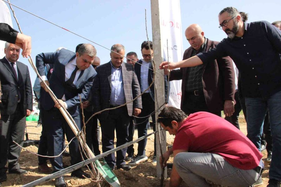 Türkiye’nin En Büyük Elma Üreticisi Hindistan’a Açılıyor