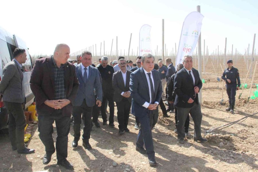 Türkiye’nin En Büyük Elma Üreticisi Hindistan’a Açılıyor