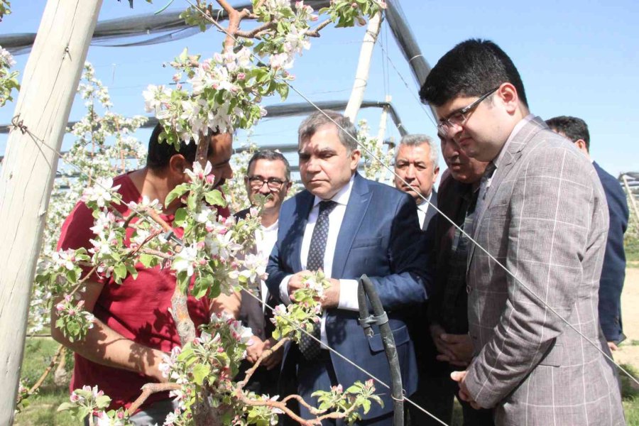 Türkiye’nin En Büyük Elma Üreticisi Hindistan’a Açılıyor