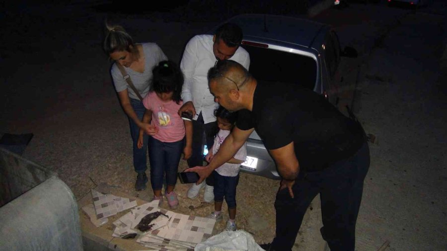 Silifke’de Yanmış Yavru Keçi Bulundu