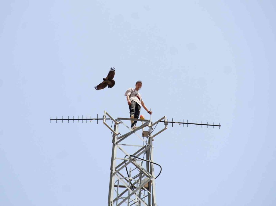 50 Metre Yüksekteki İntihar Teşebbüsü Yavalarını Korumak İsteyen Kargaları Da Harekete Geçirdi