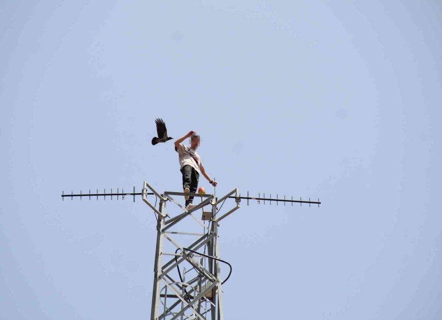 50 Metre Yüksekteki İntihar Teşebbüsü Yavalarını Korumak İsteyen Kargaları Da Harekete Geçirdi