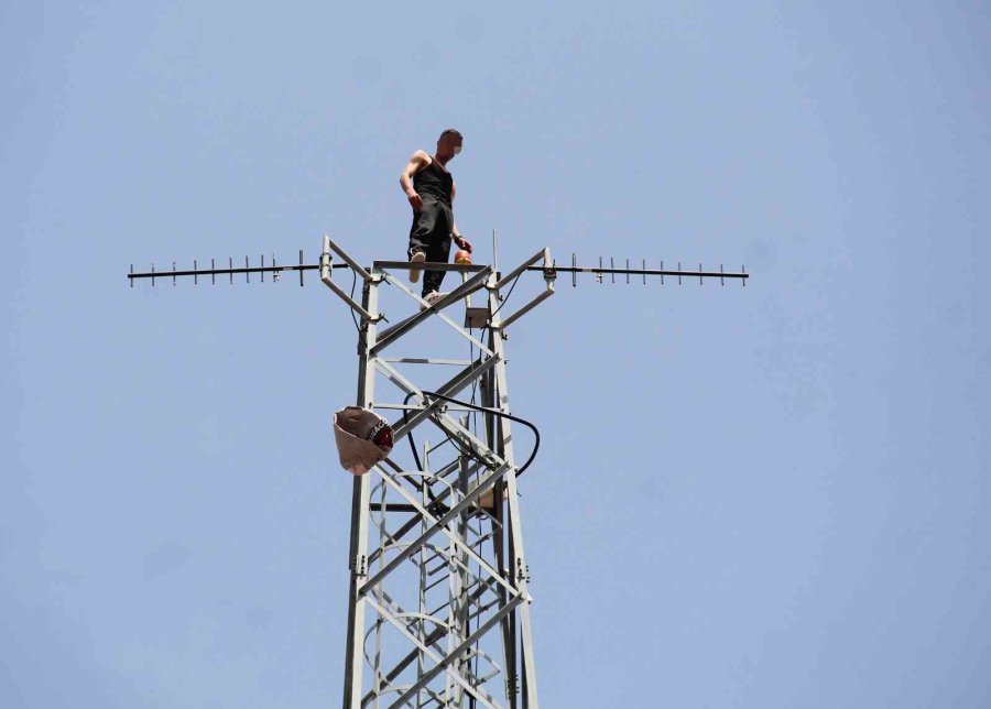 50 Metre Yüksekteki İntihar Teşebbüsü Yavalarını Korumak İsteyen Kargaları Da Harekete Geçirdi