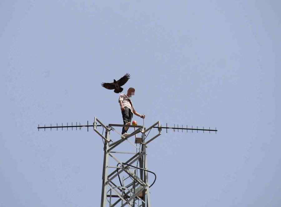 50 Metre Yüksekteki İntihar Teşebbüsü Yavalarını Korumak İsteyen Kargaları Da Harekete Geçirdi