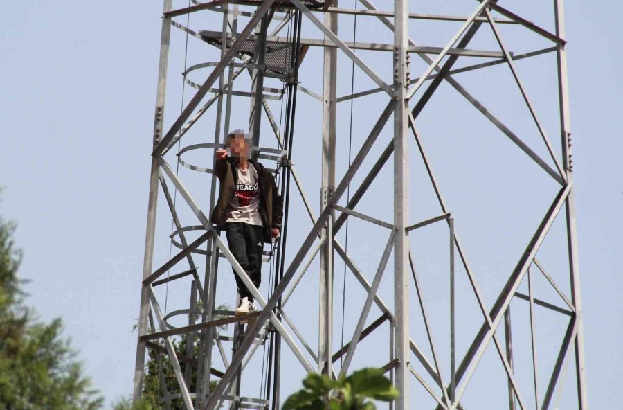 50 Metre Yüksekteki İntihar Teşebbüsü Yavalarını Korumak İsteyen Kargaları Da Harekete Geçirdi