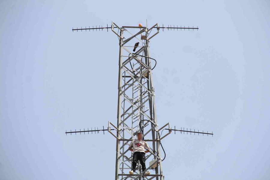 50 Metre Yüksekteki İntihar Teşebbüsü Yavalarını Korumak İsteyen Kargaları Da Harekete Geçirdi