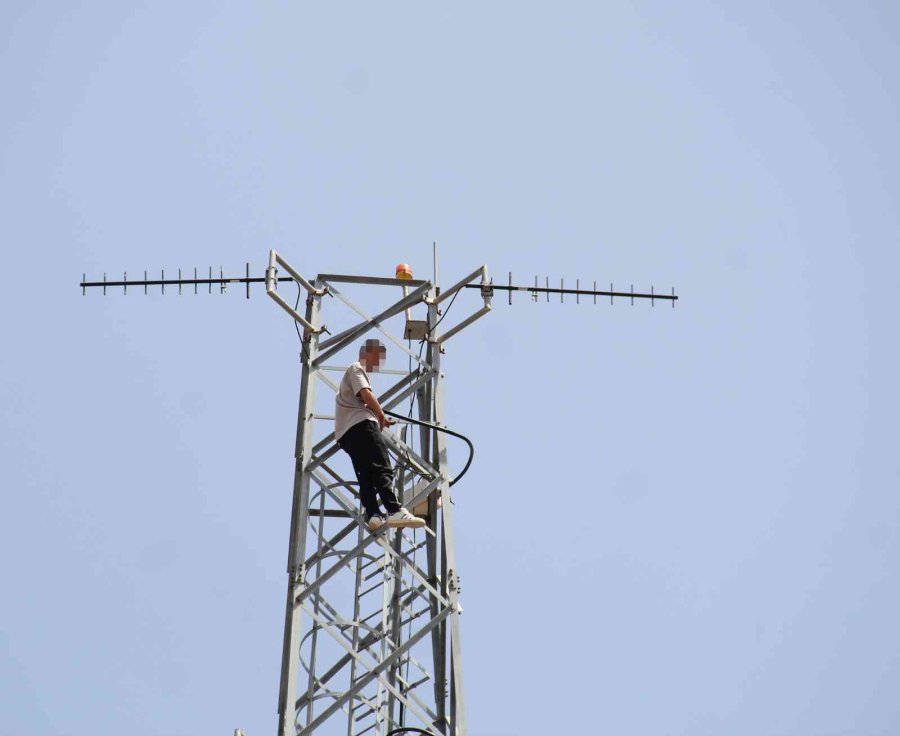 50 Metre Yüksekteki İntihar Teşebbüsü Yavalarını Korumak İsteyen Kargaları Da Harekete Geçirdi