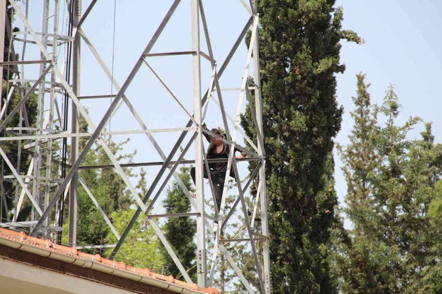 50 Metre Yüksekteki İntihar Teşebbüsü Yavalarını Korumak İsteyen Kargaları Da Harekete Geçirdi