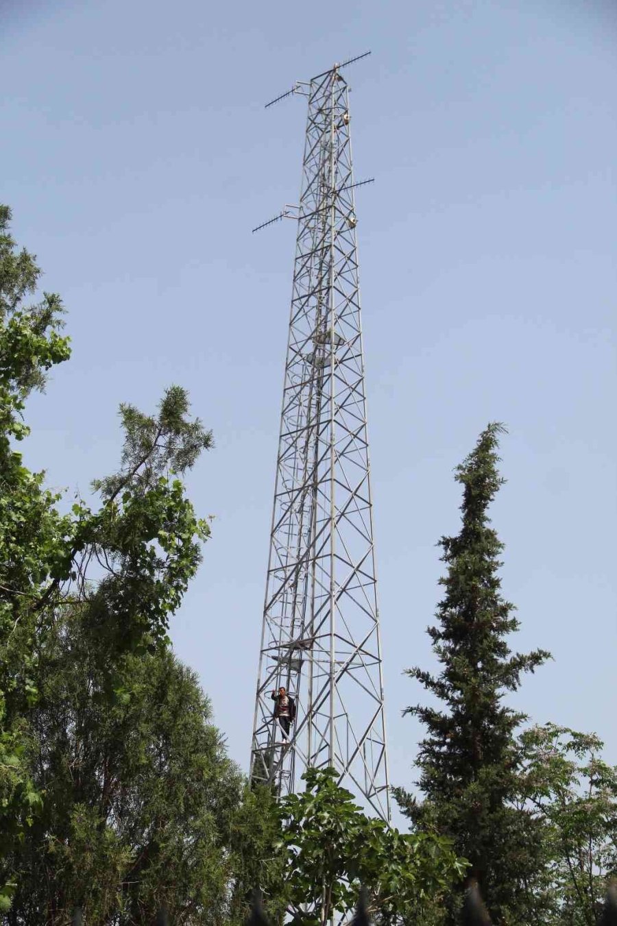 50 Metre Yüksekteki İntihar Teşebbüsü Yavalarını Korumak İsteyen Kargaları Da Harekete Geçirdi