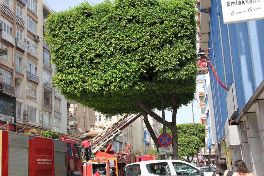 Mersin’de Belediye Binasında Çıkan Yangın Korkuttu