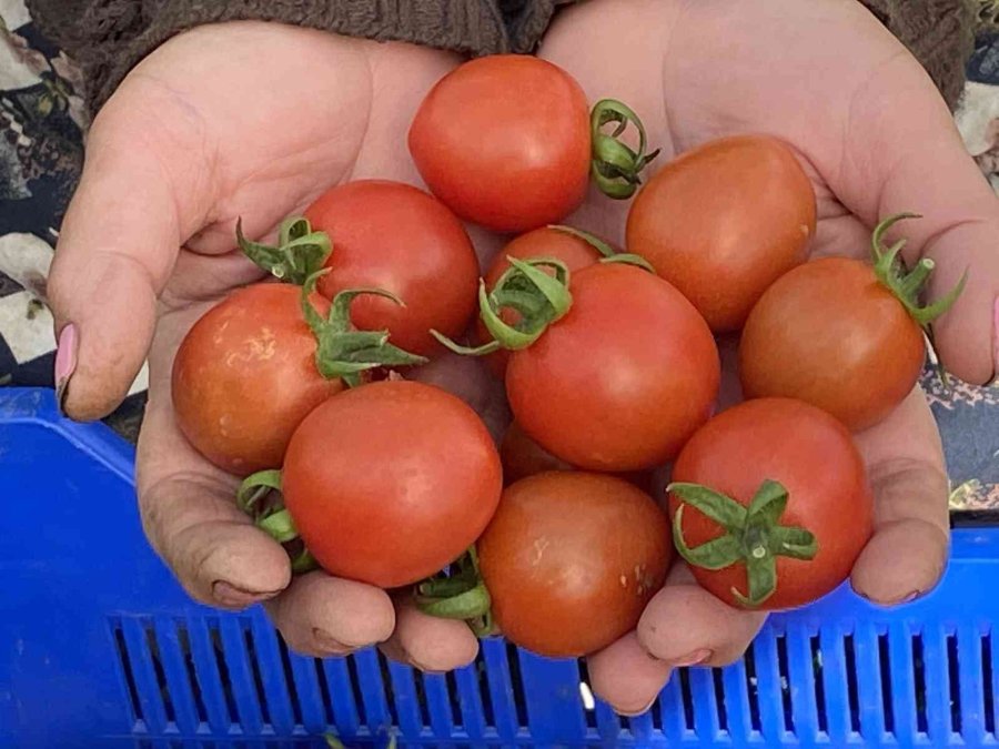 Atb Nisan Ayı Hal Endeksini Açıkladı