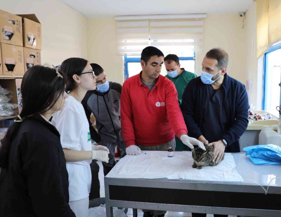 Makedon Öğrenciler Antalya Hayvanat Bahçesi’nde Eğitim Alıyor