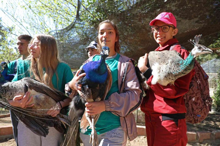 Makedon Öğrenciler Antalya Hayvanat Bahçesi’nde Eğitim Alıyor