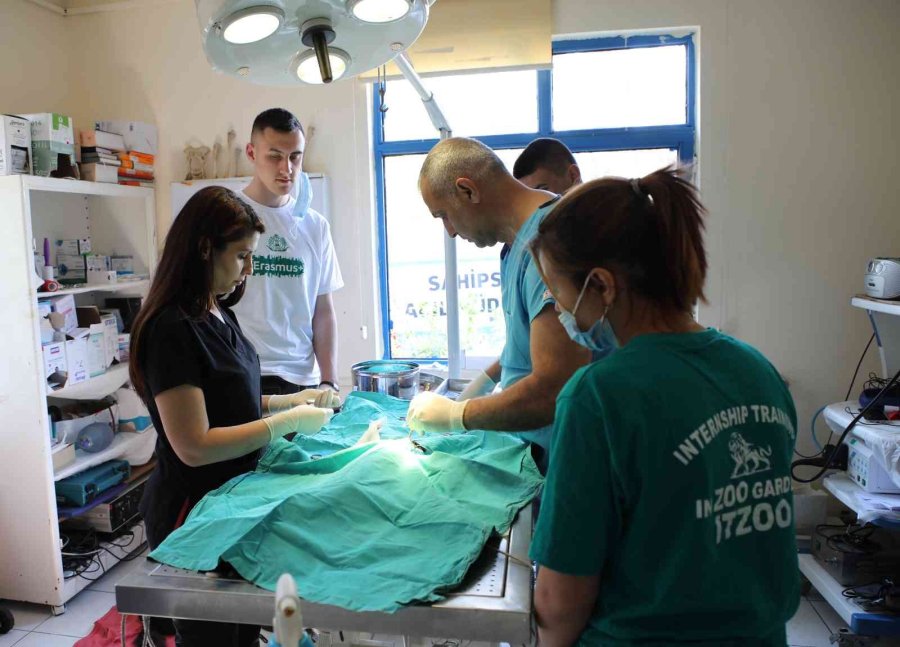 Makedon Öğrenciler Antalya Hayvanat Bahçesi’nde Eğitim Alıyor