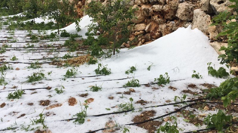15 Dakika Etkili Oldu, Onlarca Dönüm Alan Zarar Gördü