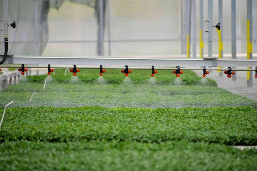 Başkan Kavuş: "konya Fide Meram Çiftçisinin Rekabet Gücünü Arttırıyor"