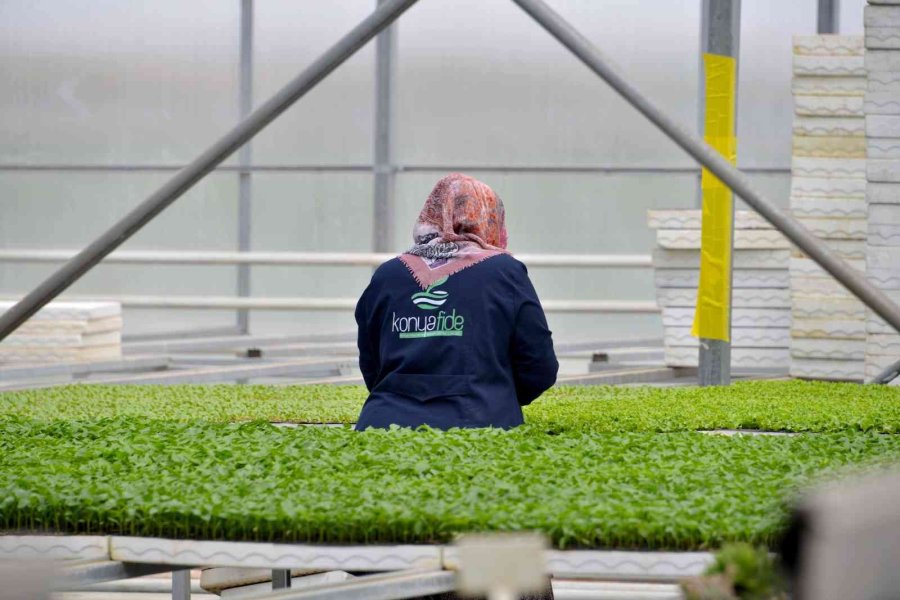 Başkan Kavuş: "konya Fide Meram Çiftçisinin Rekabet Gücünü Arttırıyor"