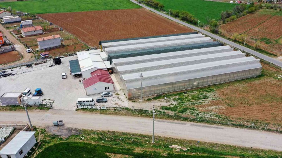 Başkan Kavuş: "konya Fide Meram Çiftçisinin Rekabet Gücünü Arttırıyor"