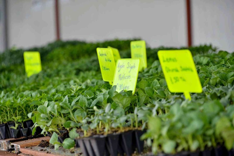 Başkan Kavuş: "konya Fide Meram Çiftçisinin Rekabet Gücünü Arttırıyor"