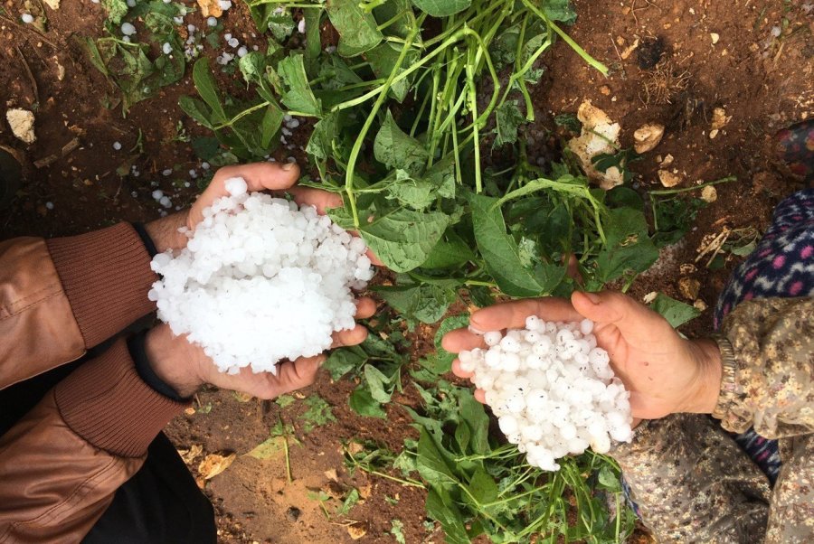 15 Dakika Etkili Oldu, Onlarca Dönüm Alan Zarar Gördü