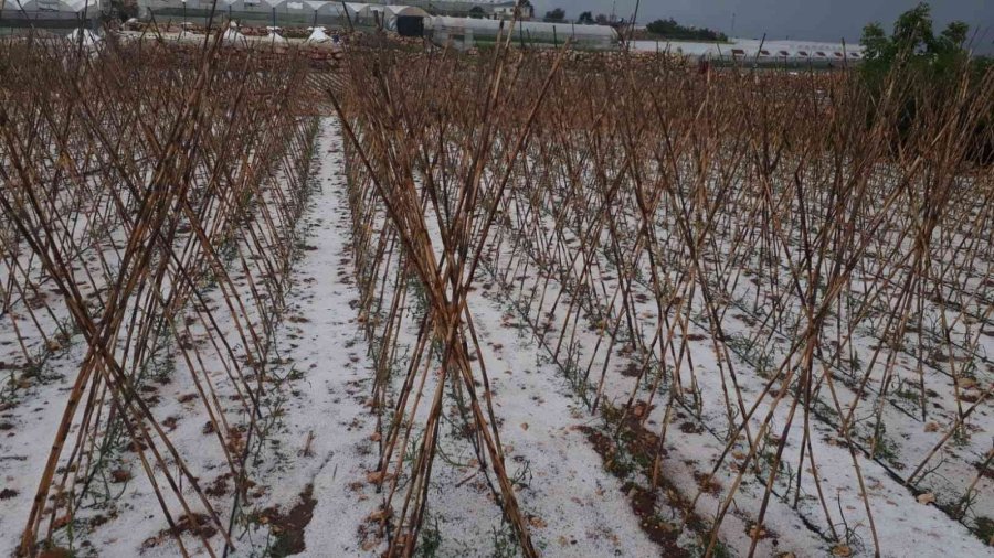 15 Dakika Etkili Oldu, Onlarca Dönüm Alan Zarar Gördü