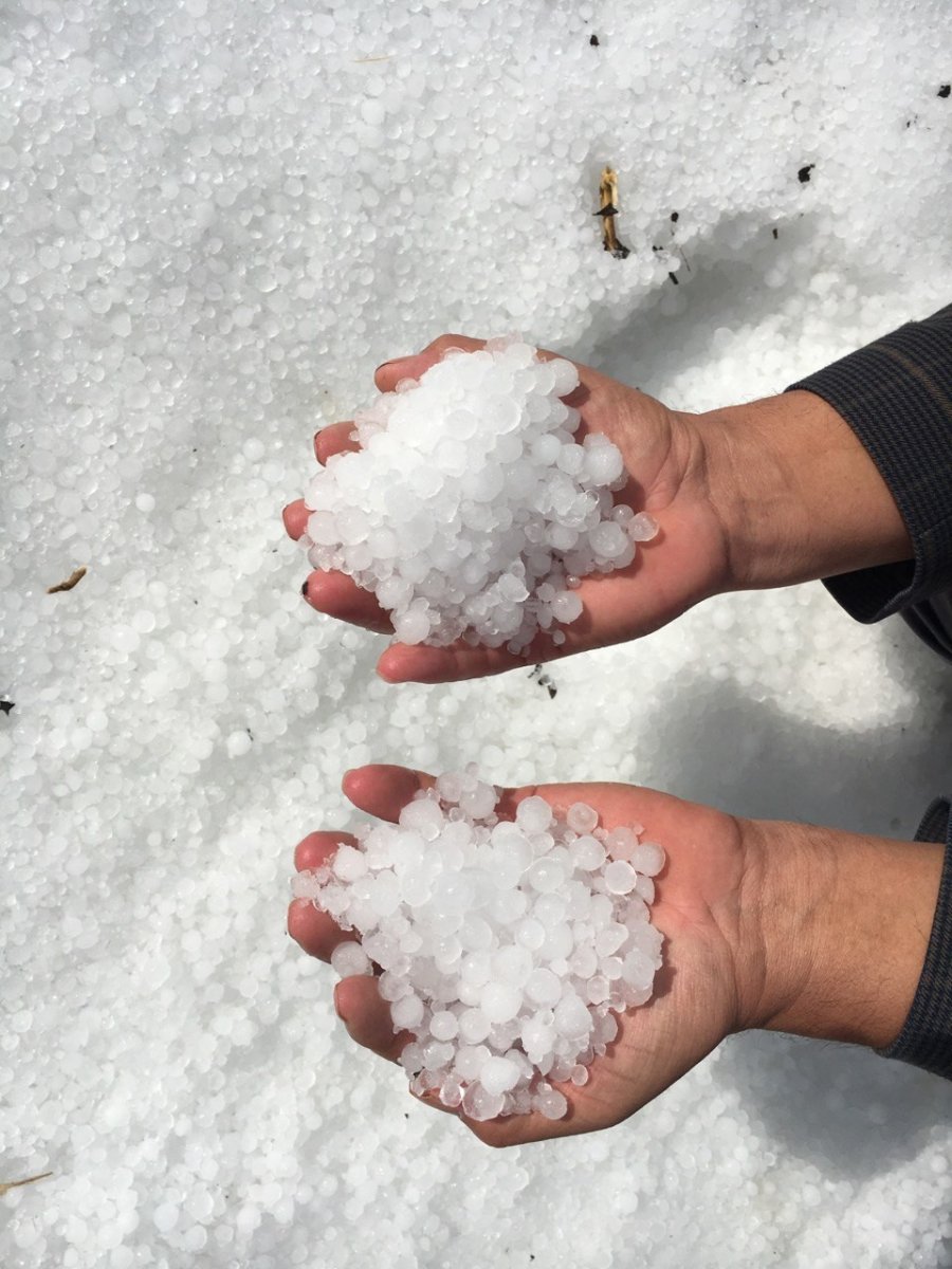 15 Dakika Etkili Oldu, Onlarca Dönüm Alan Zarar Gördü