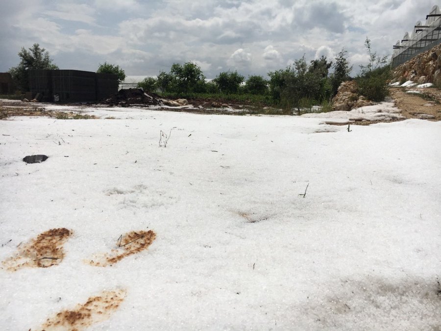 15 Dakika Etkili Oldu, Onlarca Dönüm Alan Zarar Gördü