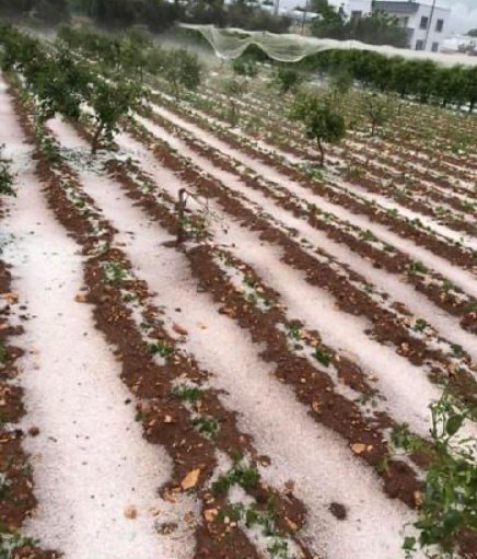 15 Dakika Etkili Oldu, Onlarca Dönüm Alan Zarar Gördü