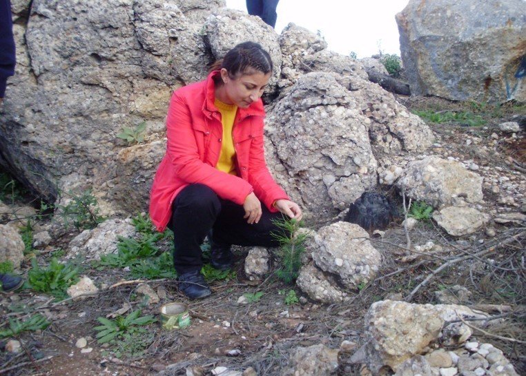 Antalya’da 14 Yıl Önce Orman Yangınında Küle Dönen Alanlar Yeniden Yeşile Büründü