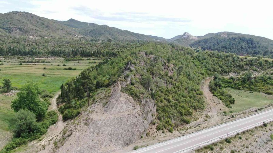 Antalya’da 14 Yıl Önce Orman Yangınında Küle Dönen Alanlar Yeniden Yeşile Büründü