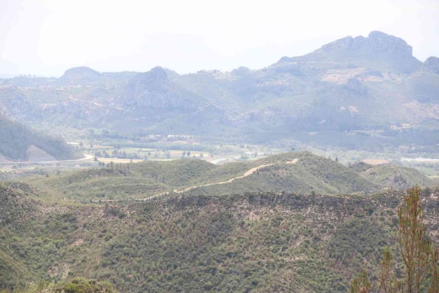 Antalya’da 14 Yıl Önce Orman Yangınında Küle Dönen Alanlar Yeniden Yeşile Büründü