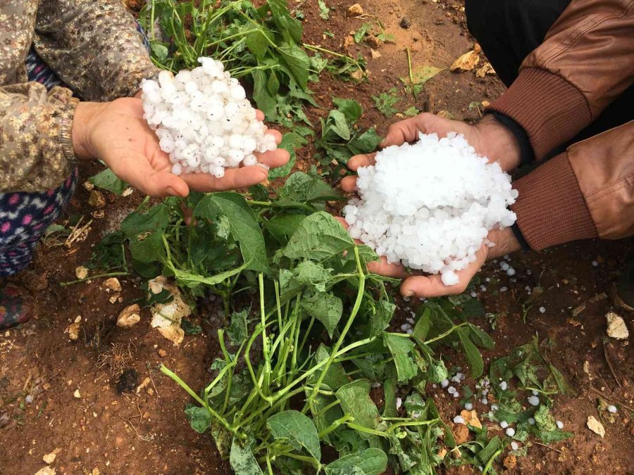 Mersin’de Dolu Bin 573 Dekar Alanda Zarara Yol Açtı