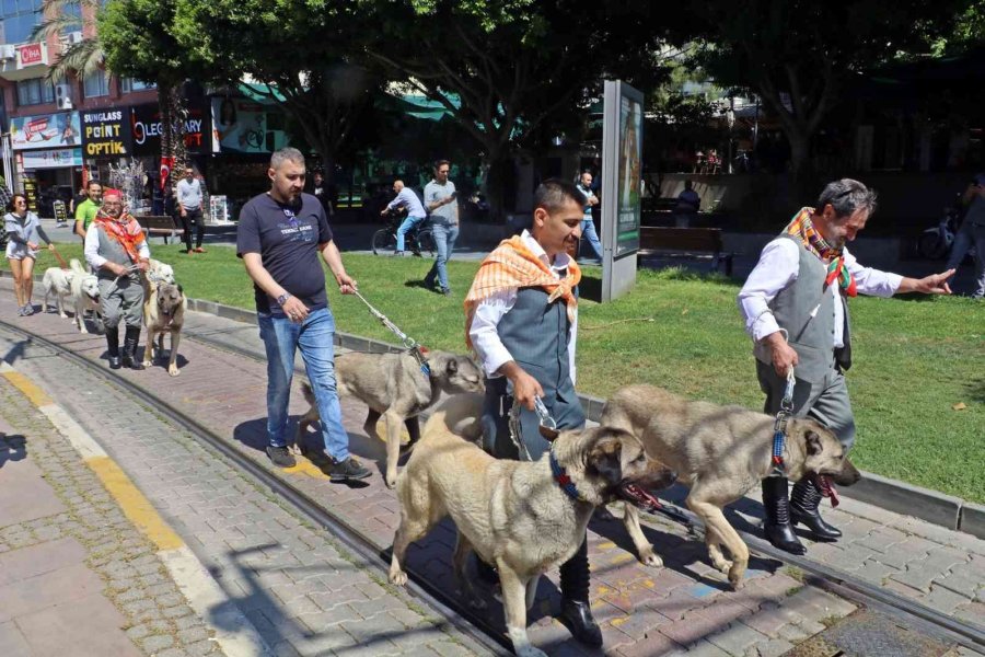 Antalya’da Uluslararası Antalya Yörük Türkmen Festivali Yörük Göçü İle Başladı