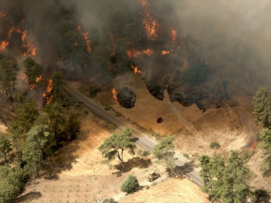 Antalya’da 14 Yıl Önce Orman Yangınında Küle Dönen Alanlar Yeniden Yeşile Büründü