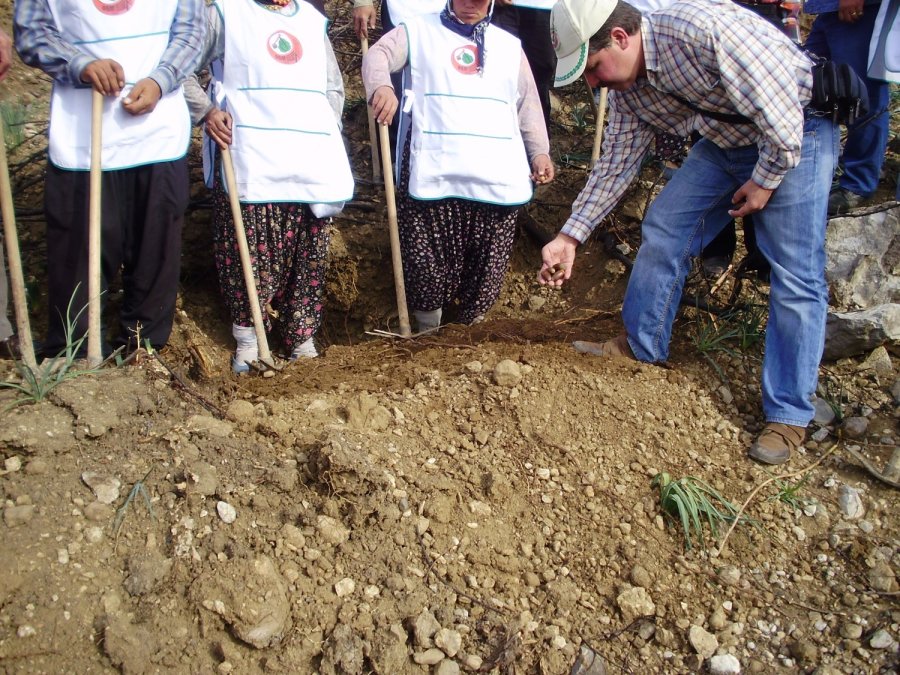 Antalya’da 14 Yıl Önce Orman Yangınında Küle Dönen Alanlar Yeniden Yeşile Büründü