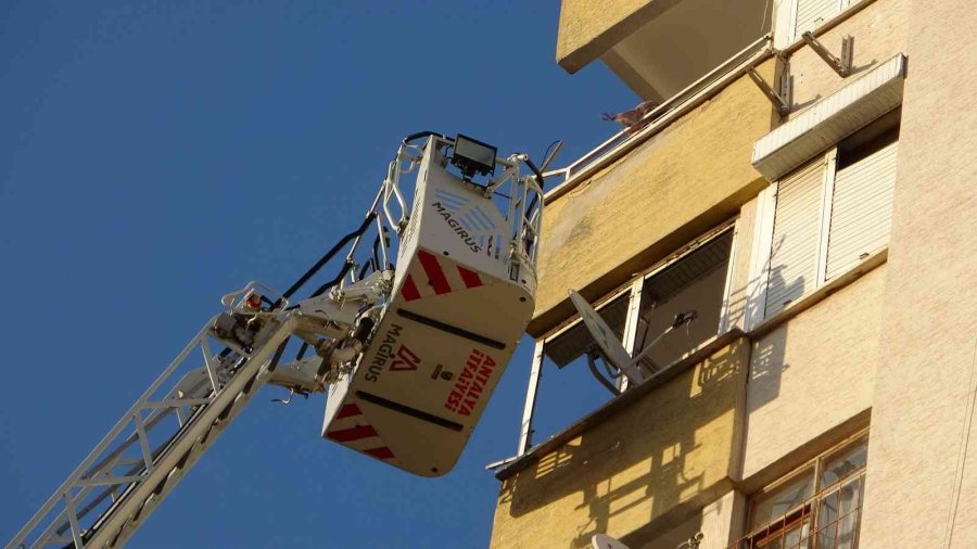 12’nci Kattan 11’inci Kata Düşen Kedinin Kurtarılmasını Film İzler Gibi İzlediler