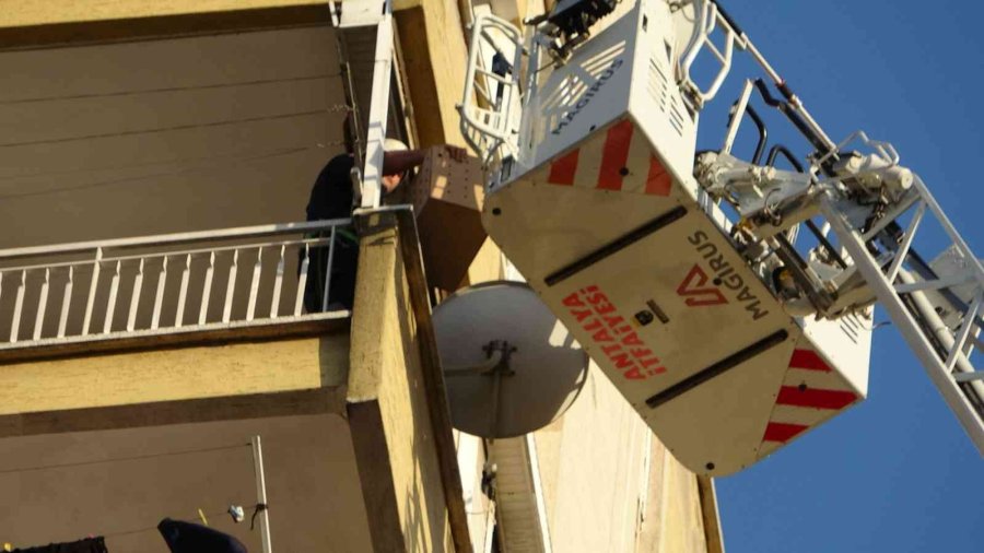 12’nci Kattan 11’inci Kata Düşen Kedinin Kurtarılmasını Film İzler Gibi İzlediler