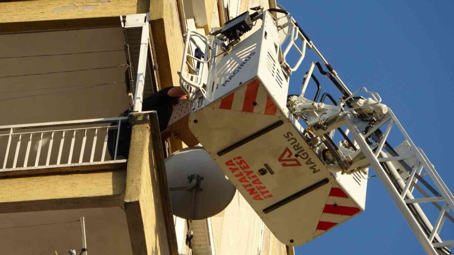 12’nci Kattan 11’inci Kata Düşen Kedinin Kurtarılmasını Film İzler Gibi İzlediler